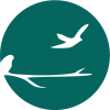 Illustration bird2 Illustration bird2